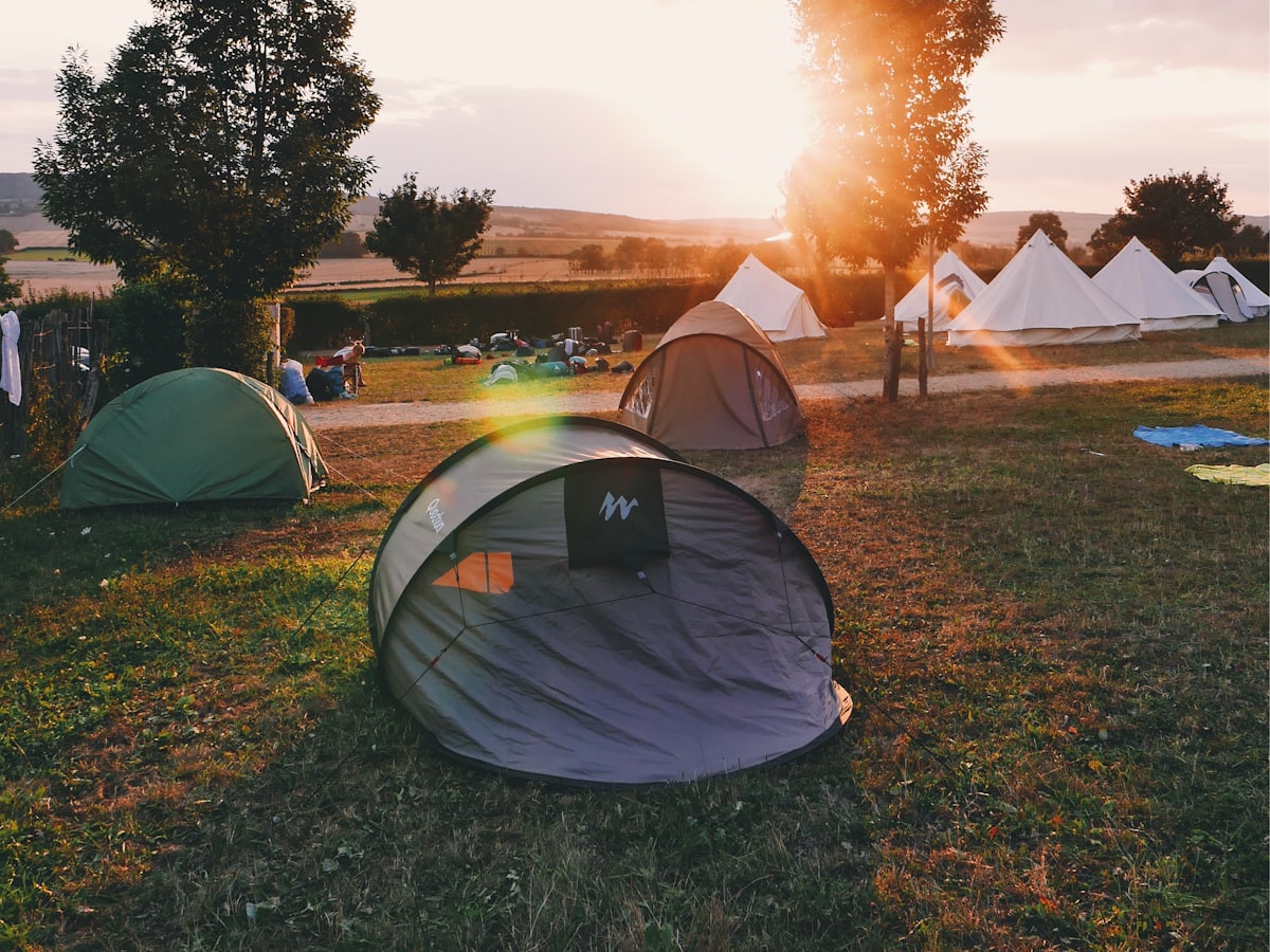 Tents pitched across a field at a campsite in the evening sun