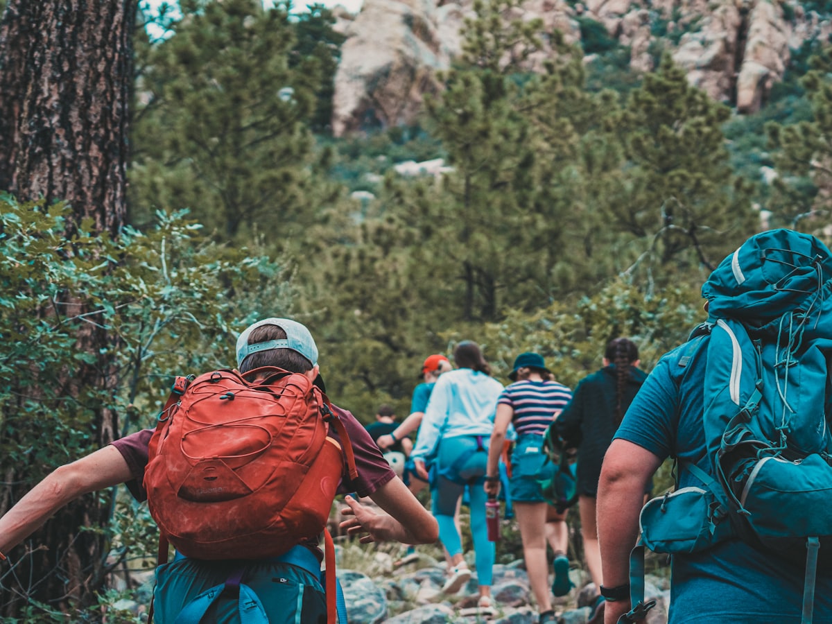 A group walking a wooded trail with rucksacks